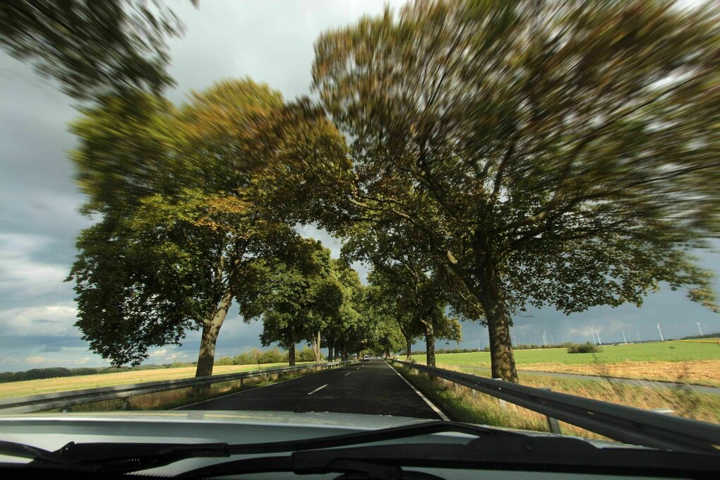 Blick durch die Windschutzscheibe eines Autos, das auf einer beaumbesäumten Landstraße fährt