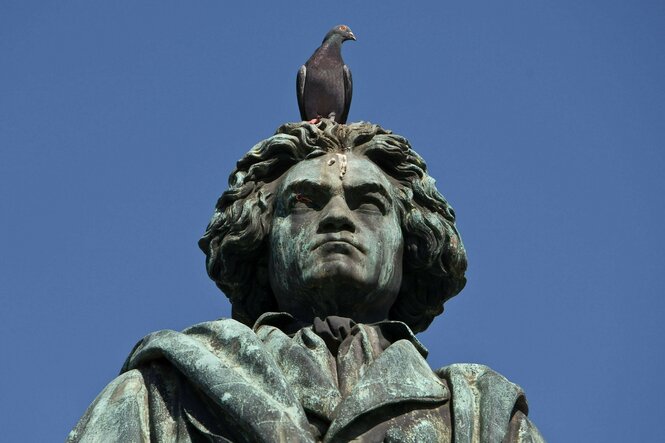 Eine Beethoven-Statue mit einer Taube auf dem Kopf.