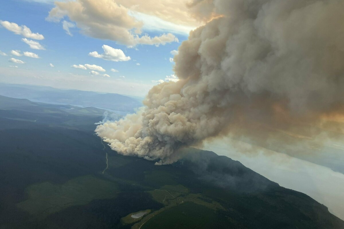 New Science magazine study: Climate change leads to more forest fires in the Northern Hemisphere