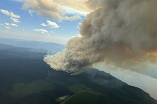 Ein Luftbild zeigt einen Waldbrand, bei dem Unmengen von Rauch aufsteigt