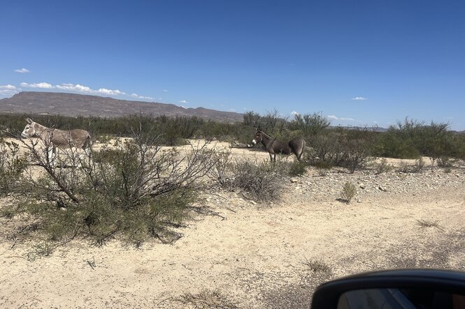 Eine texanische Landschaft fotografiert aus einem Autofenster