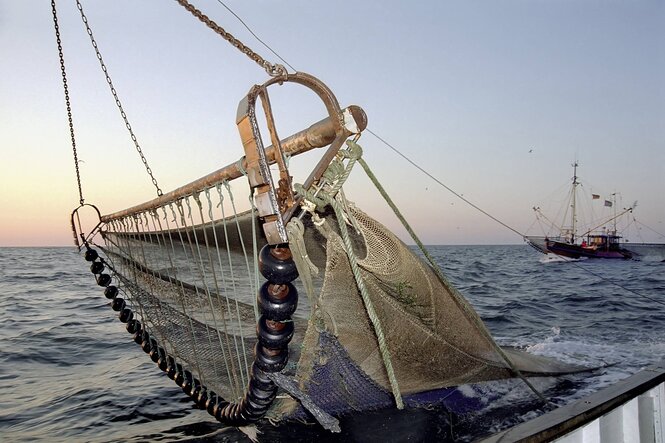 Blick auf einen Fischkutter im Vordergrund ist ein SChleppnetz