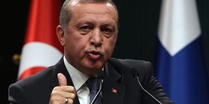 Erdogan in Siegerpose