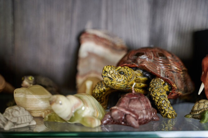 Schildkrötenfiguren in verschiedenen Formen und Farben