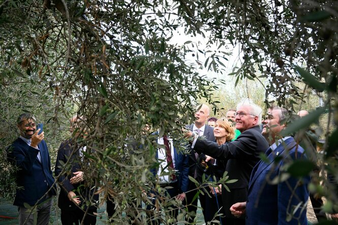 Präsident Steinmeier vor einem Olivenbaum in Griechenland