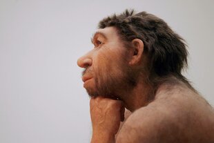 Präneandertaler-Figur DER DENKER im Landesmuseum für Vorgeschichte in Halle