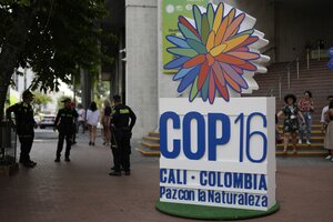 Polizisten stehen vor einem Hotel neben dem Logo der 16. UN-Konferenz zur biologischen Vielfalt (COP16)