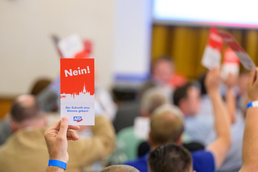 Menschen halten Karten in die Luft auf denen steht: "Nein! Der Zukunft einen Stimme geben - AfD"