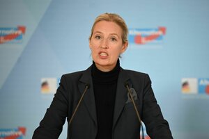 Alice Weidel spricht im Bundestag