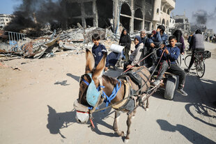 Vertriebene Palästinenser machen sich auf den Weg, nachdem sie inmitten einer israelischen Militäroperation aus dem nördlichen Teil des Gazastreifens geflohen sind, in Gaza-Stadt, 12. November 2024