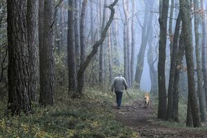 Ein Mann und sein Hund laufen durch den Herbstawld