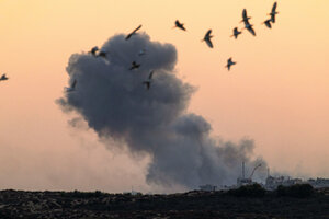 Vögel vor der Rauchwolke einer Explosion