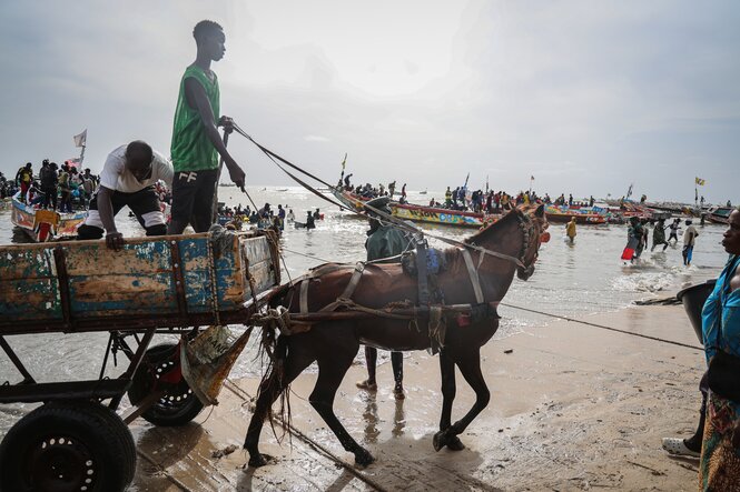 Eine Junge steht auf einem Wagen, der vom Perd am Strand gezogen wird, Fischerboote am Meer