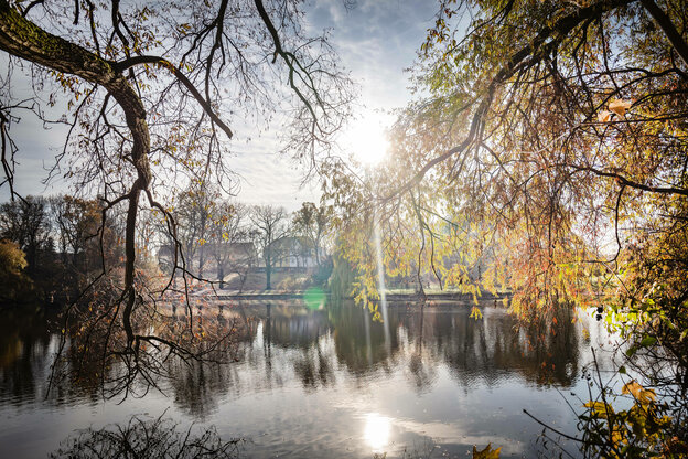 Der Obersee im Lichtenberger Ortsteil Alt-Hohenschönhausen