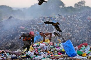 Müllsammler auf einer Müllhalle voll mit Plastikabfällen, Vögel fliegen über die Müllkippe