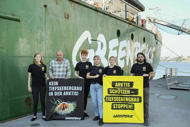 Sechs Personen demonstrieren mit Protestschildern gegen den geplanten Tiefseebergbau in der Arktis