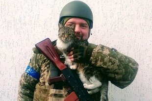 Ein Mann ist als Soldat bekleidet mit Gewehr und Katze