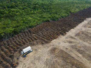 Ein Lastwagen steht in einem abgeholzten Gebiet des Amazonas.