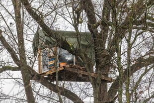 Ein Baumhaus in dem von Freiburger Umwelt-Ak­ti­vis­t:in­nen besetzten Waldstück. Mit der Besetzung wollen sie verhindern, dass das Waldstück für den neuen Stadtteil weichen muss.