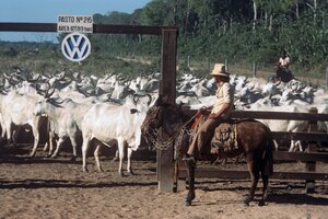 Rinderherde mit einem VW Logo am Gatter und einem Gaucho davor