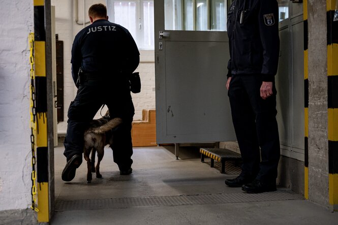 Wild auf Arbeit: Drogenspürhund in der JVA Tegel