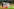 Mannschaftsfoto des syrischen Nationalteams vor dem Anpfiff