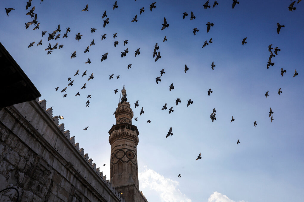 Vogelschwarm über der Umayyaden-Moschee - zu erkennen ist das Minarett und der obere Teil des Gebäudes