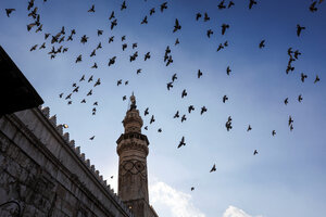 Vogelschwarm über der Umayyaden-Moschee - zu erkennen ist das Minarett und der obere Teil des Gebäudes