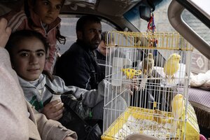 Eine Familie sitzt mit gelben Vögeln im Käfig im Auto