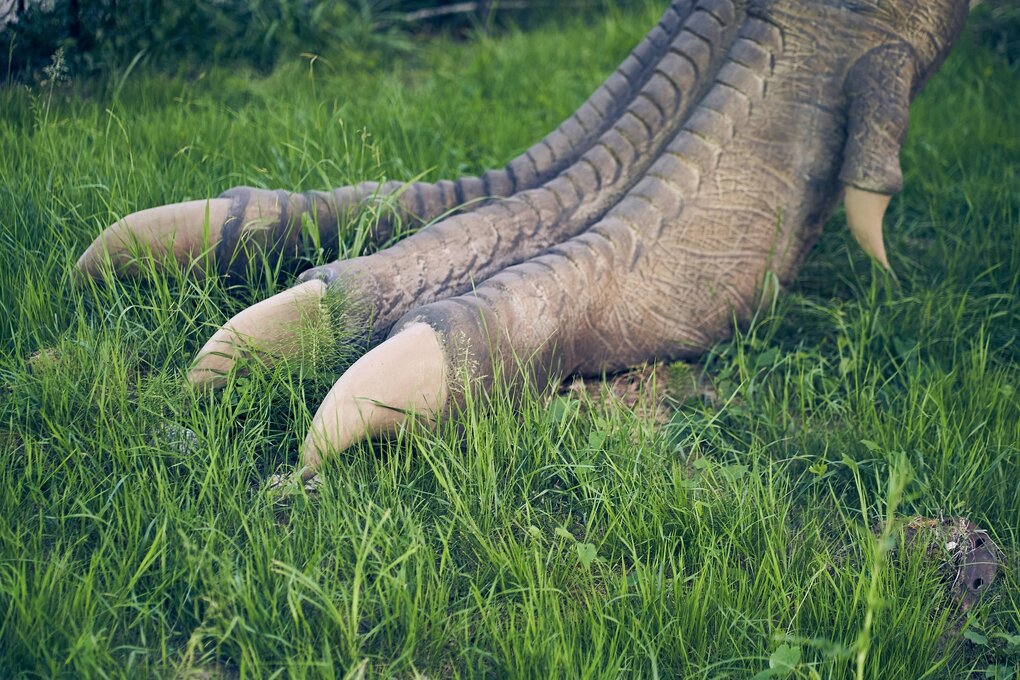 Der Fuß einer Dinosaurierskulptur