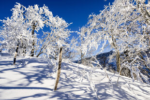 Winterlandschaft