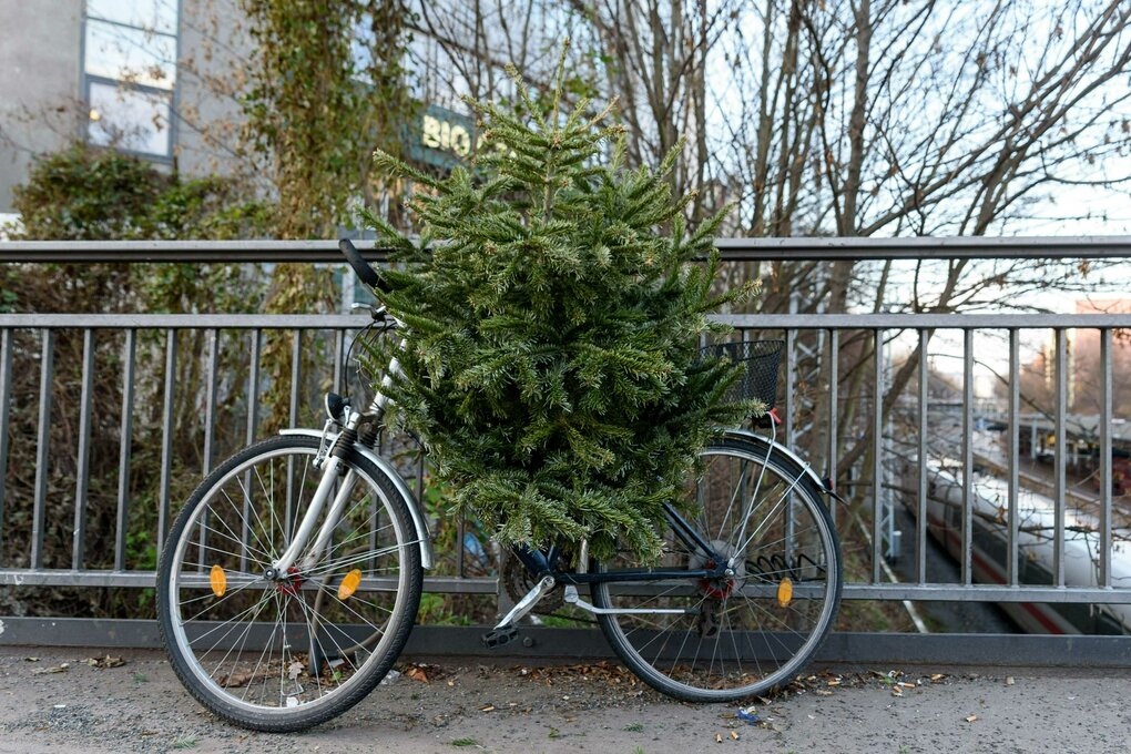 Ein Tannenbaum auf einem Fahrrad