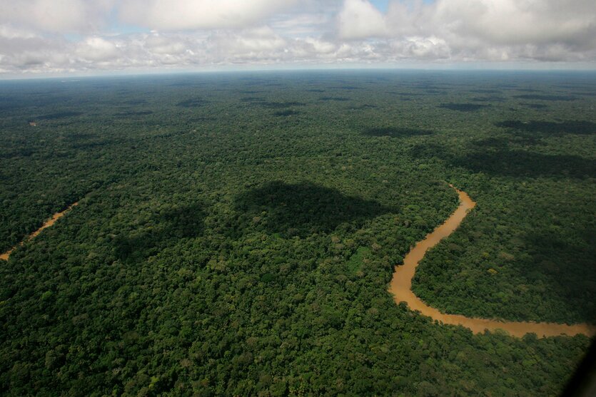 Luftaufnahme des Yasuní-Nationalparks.