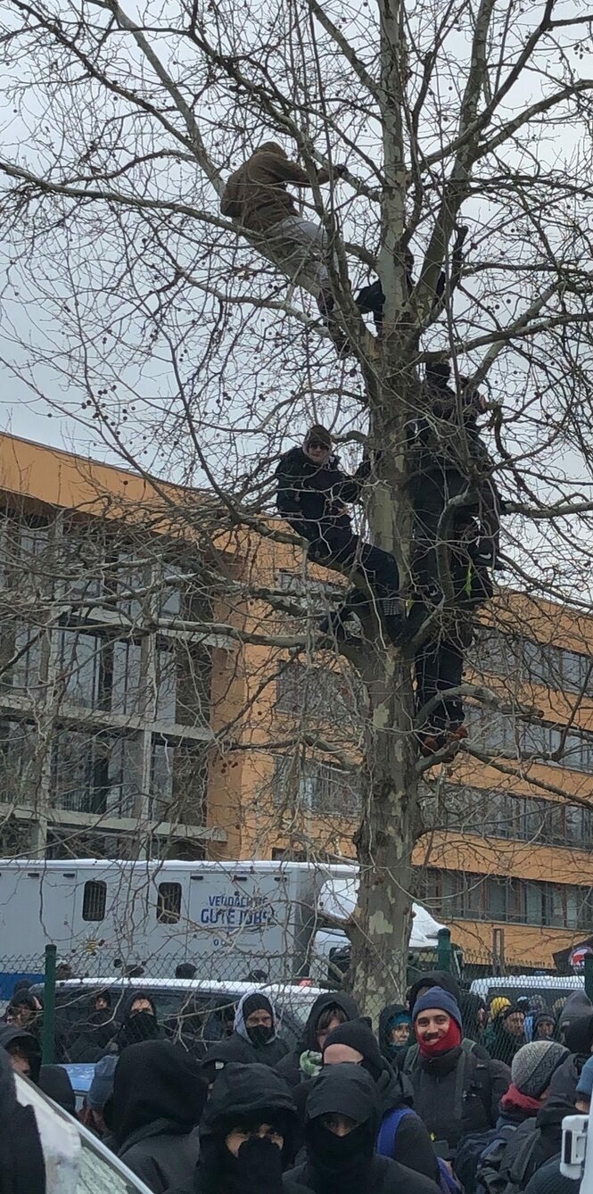 Leute klettern auf einen Baum