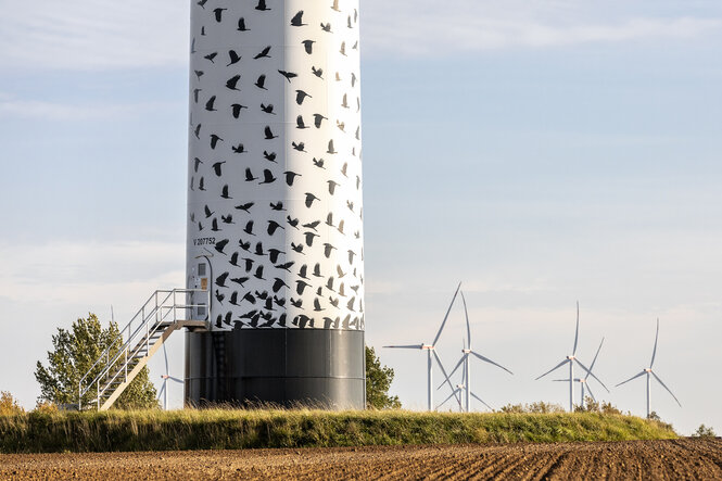 Eine Windanlage in einem Windpark, sie ist mit einem Muster aus den Silhouetten fliegender Vögel gestaltet