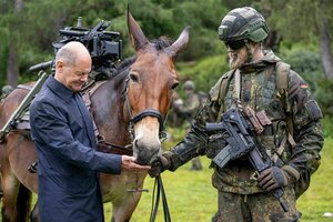 Bundeskanzler Scholz füttert ein pferd, daneben steht ein Soldat.