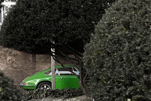 Ein froschgrüner Sportwagen parkt hinter einer Hecke