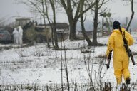 Ein Mann in gelber Schutzkleidung und mit einem Gewehr über der Schulter läuft durch eine Schneelandschaft. Im Hintergrund sind zwei Männer in weißer Schutzkleidung zu sehen