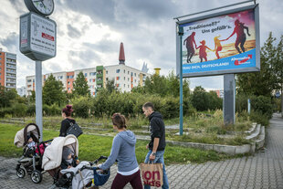 Wahlplakat der AfD an einer Straße.