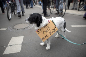 Ein Hund trägt ein Schild mit der Aufschrift 