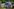 Andreas Iloff mit Fahne und Tröte, im Hintergrund ein Polizeifahrzeug