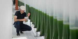 Ein Mitarbeiter nimmt in einem Glasgewächshaus des Instituts für Bio- und Geowissenschaften am Forschungszentrum in Jülich (Nordrhein-Westfalen) eine Probe einer Algenkultur aus einem von zahlreichen V-Reaktoren.