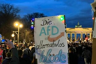 Eine Menschenmenge vor dem Brandenburger Tor am Abend, ein Schild mit der Aufschrift: Die AfD ist alternativlos blöde