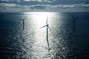 Windräder im Meer.