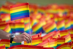 Viele Regenbogenflaggen stecken im Boden bei einer Aktion vor dem Bundestag