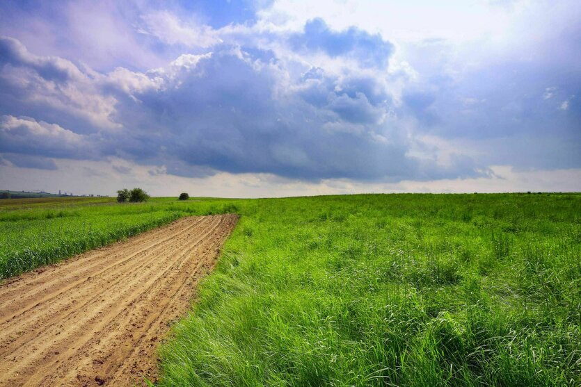 Neben einer Wiese frisch gepflügtes Ackerland. Der Himmel blau und doch dramatisch