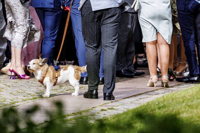 Füße und Hosen, formal-festlich gekleidet