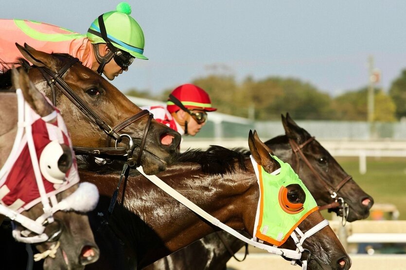 Rennpferde mit bunten Hauben und ihre Jockeys galoppieren dicht nebeneinander