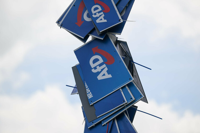 Kaputte AfD-Wahlplakate hängen an einem Laternenmast