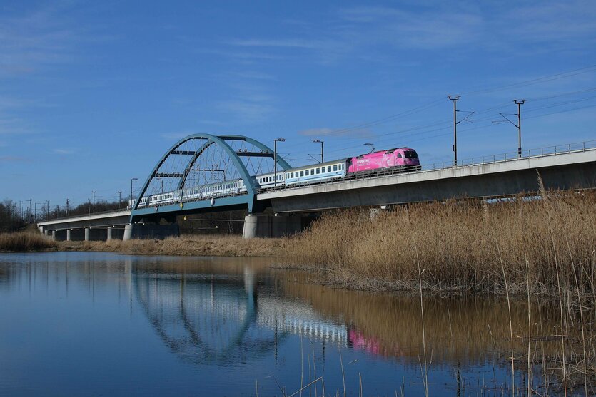 Ein Zug fährt über eine Brücke.